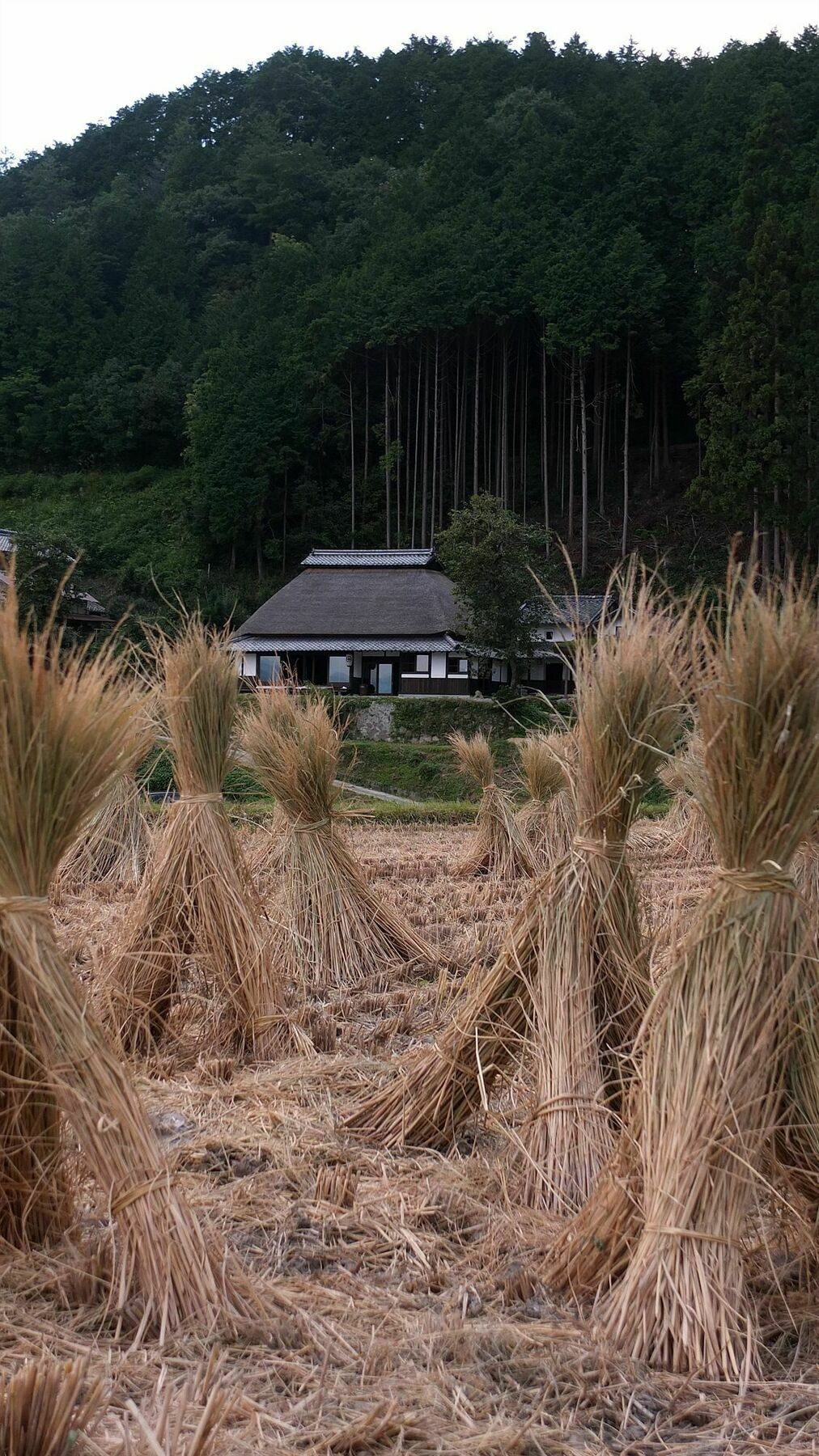 Vila Sasayuri-Ann Nara Exteriér fotografie